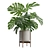 Tropical Monstera Houseplant Deluxe 3D model small image 7