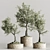  Bonsai Collection 2015 Set 3D model small image 1