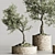  Bonsai Collection 2015 Set 3D model small image 3