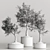  Bonsai Collection 2015 Set 3D model small image 6