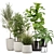 Modern Indoor Plant Set 32 3D model small image 1