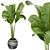 Premium Indoor Plant Collection - Banana Leaf Rubber 3D model small image 2