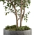 Concrete Pot Plant Set Outdoor 3D model small image 3