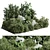 Bamboo Palm Bush Pot Set 3D model small image 2