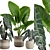 Exotic Alocasia Plants Set 3D model small image 2