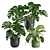 Exotic Interior Plants Bundle 3D model small image 1