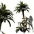 Exquisite Cycas Revoluta Palm Fern 3D model small image 1