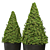 Modern Topiary Cypress Planters Set 3D model small image 2