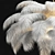 Elegant Ostrich Feather Chandelier 3D model small image 2