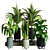 Modern Indoor Plant Collection Set 3D model small image 1