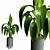 Modern Indoor Plant Collection Set 3D model small image 2