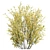 Detailed Cytisus scoparius 3D Model 3D model small image 2