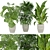 Premium 3D Plant Collection Vol. 348 3D model small image 1