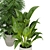 Premium 3D Plant Collection Vol. 348 3D model small image 3