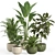 Shelf Plant Set | Modern Decor 3D model small image 1