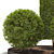 3D Plants Collection Set 3D model small image 3