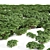  High Detail Plant 3D Models 3D model small image 2