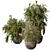 Indoor Tree Plant Set w/ Pot 3D model small image 1