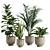 Indoor Exotic Plants Bundle Pack 3D model small image 1