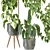 Modern Indoor Plant Collection 94 3D model small image 2