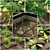 Kitchen Garden Greenhouse Set-5 3D model small image 2