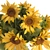 Sunflower Bouquet in Glass Vase 3D model small image 2