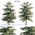 PBR Pine Trees Collection Vol.107 3D model small image 1