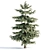 PBR Pine Trees Collection Vol.107 3D model small image 3