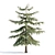 PBR Pine Trees Collection Vol.107 3D model small image 5