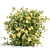  Blooming Bushes Pack Vol. 108 3D model small image 4