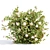  Blooming Bushes Pack Vol. 108 3D model small image 6