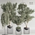 Modern Indoor Plant Set 3D model small image 1