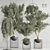 Modern Indoor Plant Set 3D model small image 3