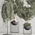 Modern Indoor Plant Set 3D model small image 6