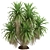 Botanical Oasis Plant Collection 3D model small image 1