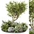 Outdoor Garden 3D Tree Set 3D model small image 1