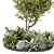 Outdoor Garden 3D Tree Set 3D model small image 2