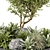 Outdoor Garden 3D Tree Set 3D model small image 4