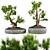 Bonsai Vases Set 2014 Vol.02 3D model small image 1