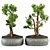 Bonsai Vases Set 2014 Vol.02 3D model small image 3