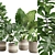 Exotic Indoor Plants Pack 21 3D model small image 2