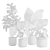 Exotic Indoor Plants Pack 21 3D model small image 3