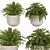 High-Quality Indoor Plants Collection 3D model small image 2