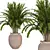 High-Quality Indoor Plants Collection 3D model small image 5