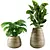 Modern Indoor Plants Collection 18 3D model small image 2