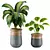 Modern Indoor Plants Collection 18 3D model small image 3