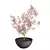 Japanese Maple Indoor Plant 3D Model 3D model small image 2