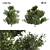 Dual Summer Oak Tree 3D Model 3D model small image 1