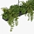 Leafy Indoor Hanging Plant 3D model small image 2