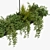 Leafy Indoor Hanging Plant 3D model small image 3